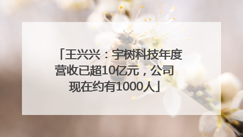 王兴兴：宇树科技年度营收已超10亿元，公司现在约有1000人