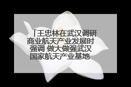 王忠林在武汉调研商业航天产业发展时强调 做大做强武汉国家航天产业基地 打造具有全国影响力的“中国星谷”