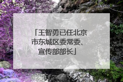 王智勇已任北京市东城区委常委、宣传部部长