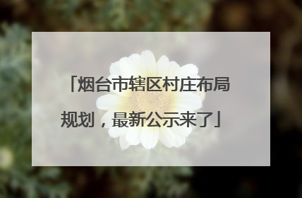 烟台市辖区村庄布局规划，最新公示来了