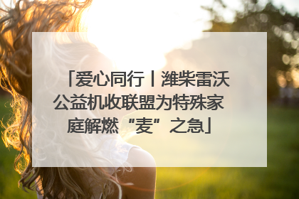 爱心同行丨潍柴雷沃公益机收联盟为特殊家庭解燃“麦”之急