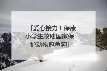 爱心接力！保康小学生救助国家保护动物冠鱼狗