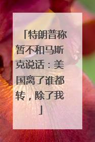 特朗普称暂不和马斯克说话：美国离了谁都转，除了我
