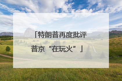 特朗普再度批评普京“在玩火”