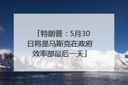 特朗普：5月30日将是马斯克在政府效率部最后一天