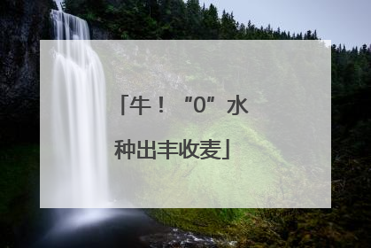 牛！“0”水种出丰收麦