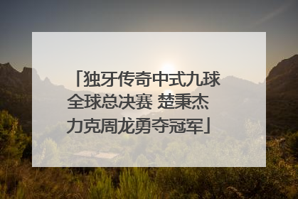 独牙传奇中式九球全球总决赛 楚秉杰力克周龙勇夺冠军