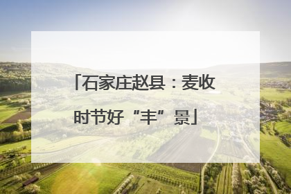 石家庄赵县：麦收时节好“丰”景