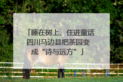 睡在树上、住进童话 四川马边县把茶园变成“诗与远方”