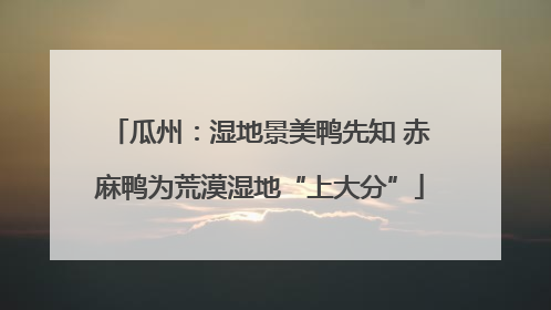 瓜州：湿地景美鸭先知 赤麻鸭为荒漠湿地“上大分”