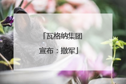 瓦格纳集团宣布：撤军