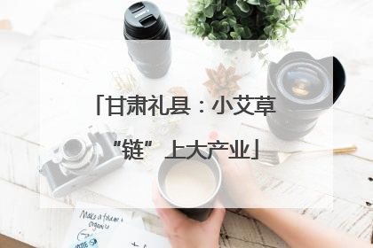 甘肃礼县：小艾草“链”上大产业