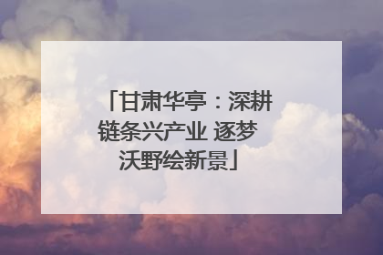 甘肃华亭：深耕链条兴产业 逐梦沃野绘新景