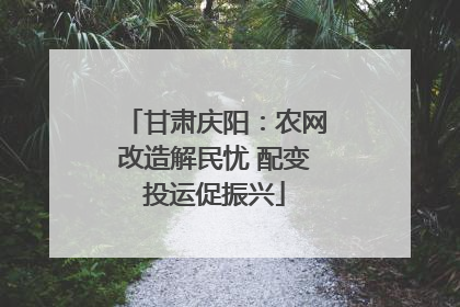 甘肃庆阳：农网改造解民忧 配变投运促振兴