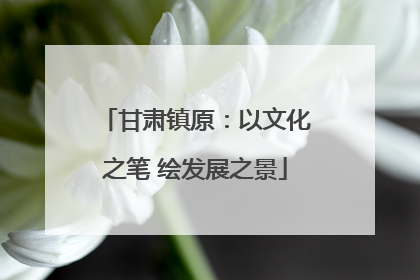 甘肃镇原：以文化之笔 绘发展之景