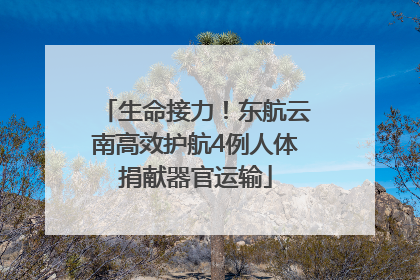 生命接力！东航云南高效护航4例人体捐献器官运输