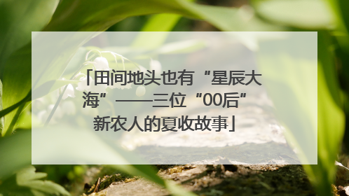 田间地头也有“星辰大海”——三位“00后”新农人的夏收故事