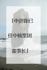 申彦锋已任中核集团董事长