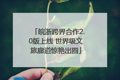 皖浙跨界合作2.0版上线 世界级文旅廊道惊艳出圈