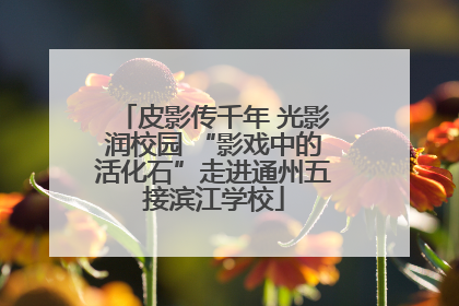 皮影传千年 光影润校园 “影戏中的活化石”走进通州五接滨江学校