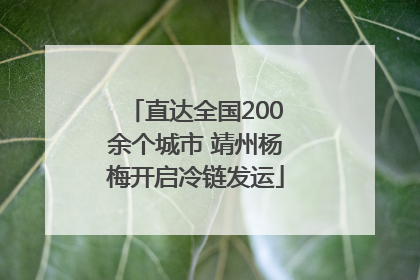 直达全国200余个城市 靖州杨梅开启冷链发运