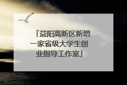 益阳高新区新增一家省级大学生创业指导工作室