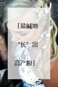 盐碱地“长”出高产粮