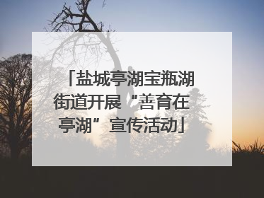 盐城亭湖宝瓶湖街道开展“善育在亭湖”宣传活动