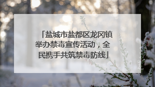 盐城市盐都区龙冈镇举办禁毒宣传活动，全民携手共筑禁毒防线