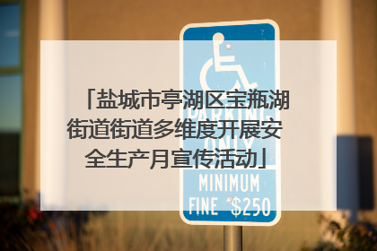 盐城市亭湖区宝瓶湖街道街道多维度开展安全生产月宣传活动