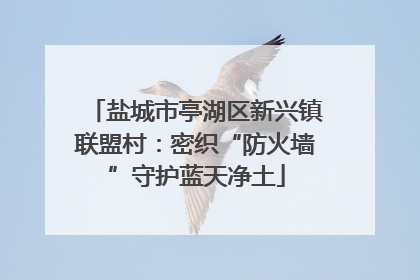 盐城市亭湖区新兴镇联盟村：密织“防火墙”守护蓝天净土