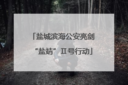 盐城滨海公安亮剑“盐靖”Ⅱ号行动