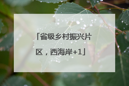 省级乡村振兴片区，西海岸+1