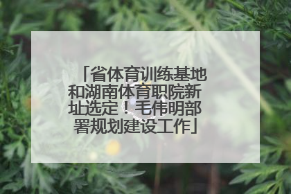 省体育训练基地和湖南体育职院新址选定！毛伟明部署规划建设工作