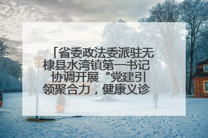 省委政法委派驻无棣县水湾镇第一书记 协调开展“党建引领聚合力，健康义诊惠乡亲”义诊活动