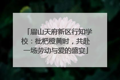 眉山天府新区行知学校：枇杷橙黄时，共赴一场劳动与爱的盛宴