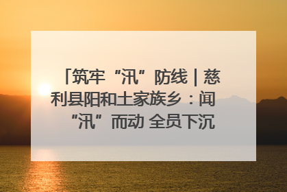 筑牢“汛”防线｜慈利县阳和土家族乡：闻“汛”而动 全员下沉筑牢防汛“安全堤”