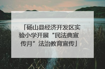 砀山县经济开发区实验小学开展“民法典宣传月”法治教育宣传