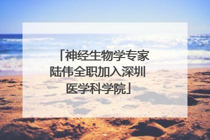 神经生物学专家陆伟全职加入深圳医学科学院