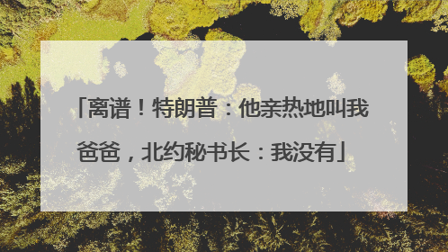 离谱！特朗普：他亲热地叫我爸爸，北约秘书长：我没有