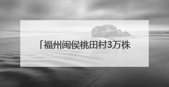 福州闽侯桃田村3万株百合盛放 芬芳扑鼻