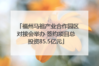 福州马祖产业合作园区对接会举办 签约项目总投资85.5亿元