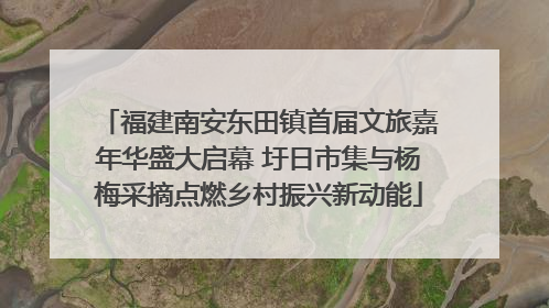福建南安东田镇首届文旅嘉年华盛大启幕 圩日市集与杨梅采摘点燃乡村振兴新动能