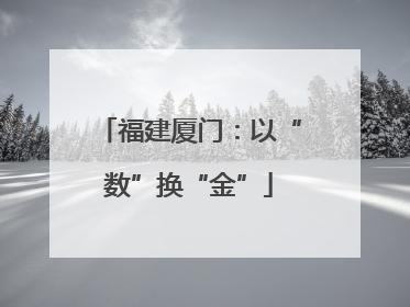 福建厦门：以“数”换“金”