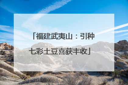 福建武夷山：引种七彩土豆喜获丰收