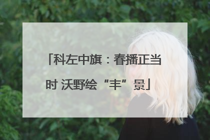 科左中旗：春播正当时 沃野绘“丰”景