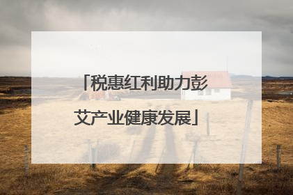 税惠红利助力彭艾产业健康发展