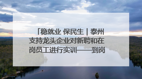 稳就业 保民生｜泰州支持龙头企业对新聘和在岗员工进行实训——到岗就能用 用了就见效