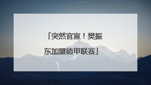 突然官宣！樊振东加盟德甲联赛