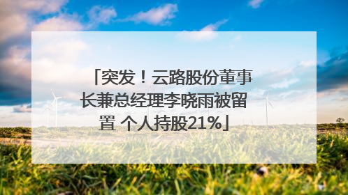 突发！云路股份董事长兼总经理李晓雨被留置 个人持股21%